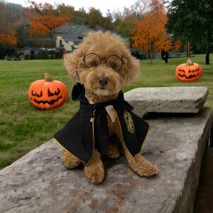 Hogwarts Magic Cloak / Pet Glasses / Pet Necktie / Dog Cape Costume / Halloween